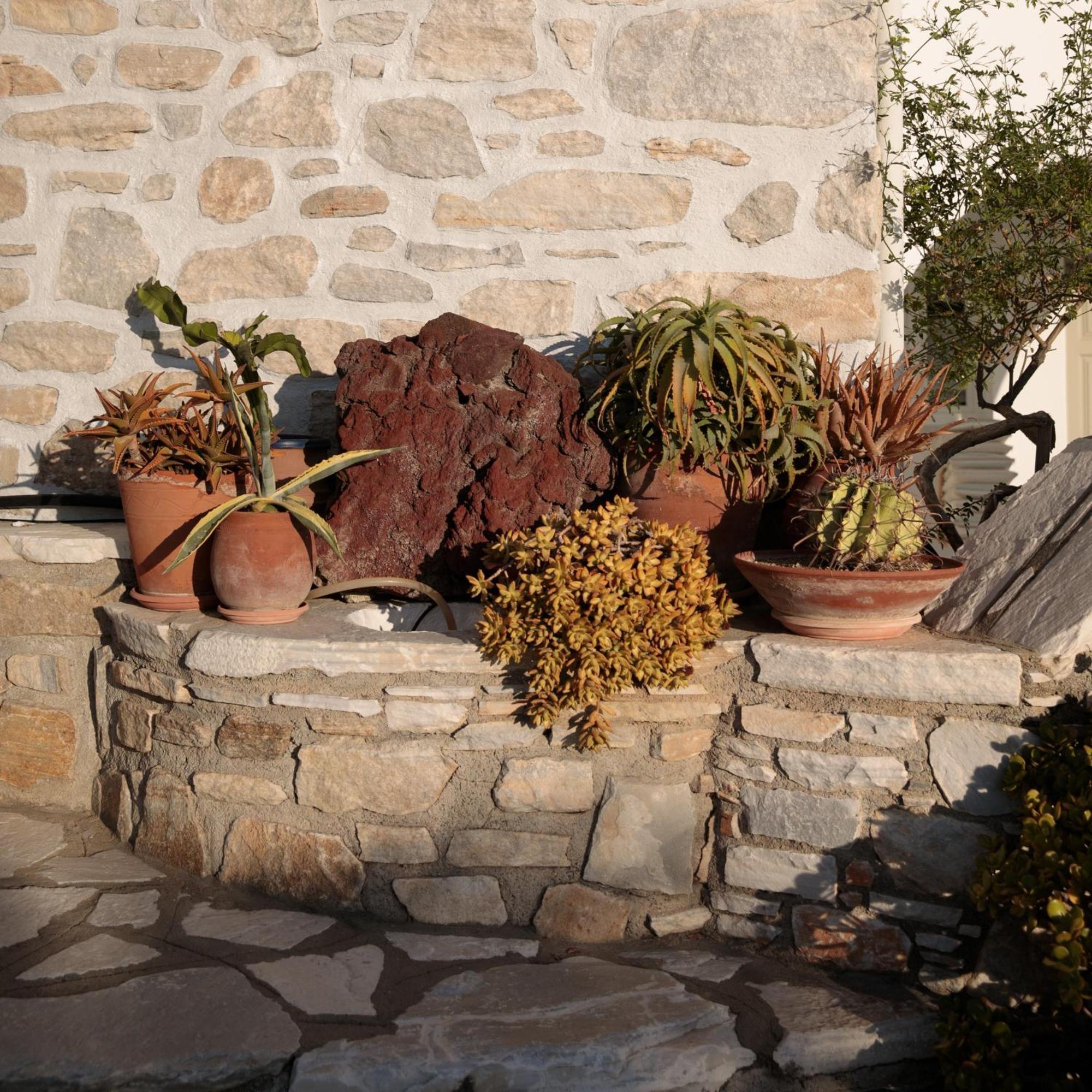 Aeolos Villas Sustainable Living Agkidia Exterior foto